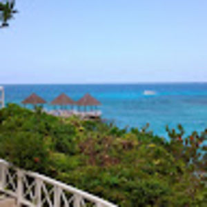 Meet your Posher, Trinity